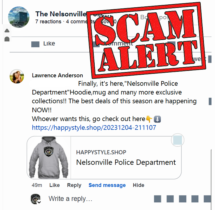 screenshot example of scam described above